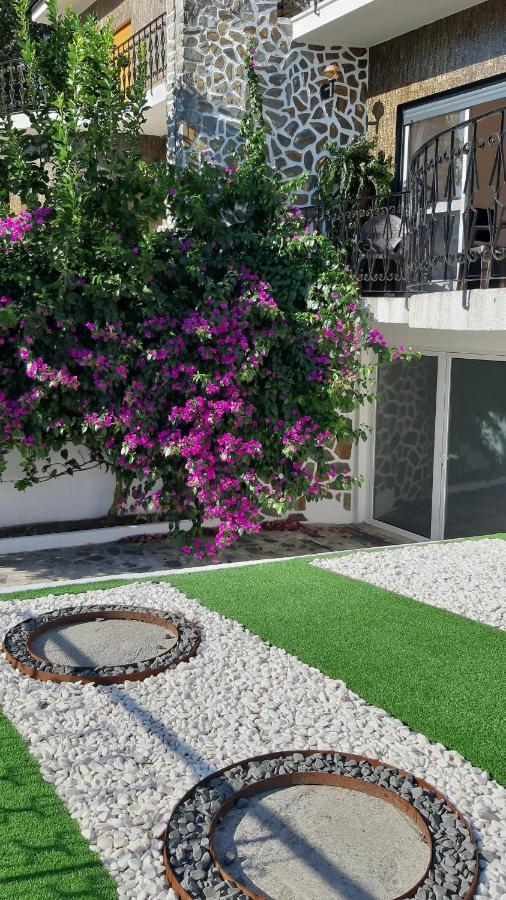Colina Guesthouse - Braga Exterior foto
